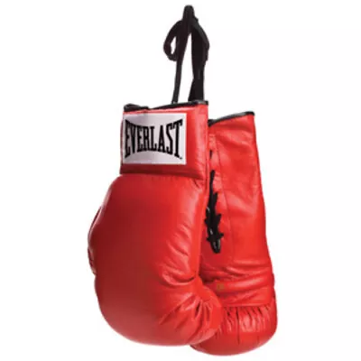 Everlast Red Lace Autograph Boxing Gloves • $36.95