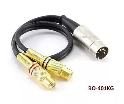 CablesOnline 1ft 5-Pin Din Male To 2RCA Gold Female Audio Cable  • $19.99