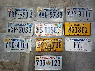 10 Virginia Roadkill License Plates Ranging From Years 2015 - UP • $35