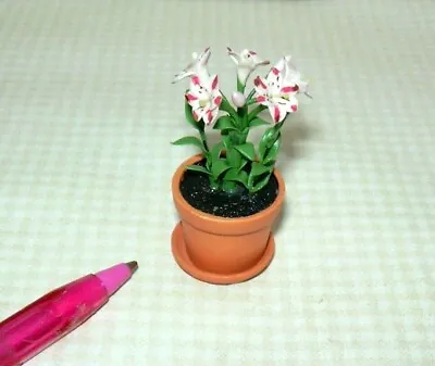 Miniature Magic Pink Lilies In Terra Cotta Pot W/Dish: DOLLHOUSE 1:12 Flowers • $8.98