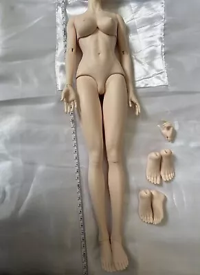 1/4 BJD Doll Iple Girl Body B49 Normal Skin- Only Body (No Head) • $135.50