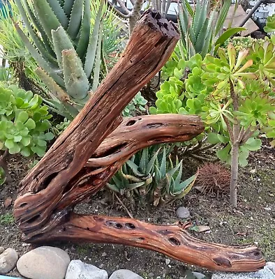 Large Driftwood  Aquarium Terrarium Aquascape Manzanita Art Wood  22 ×21 ×17  • $189