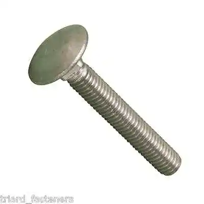 M5 X 16 Cup Square Carriage / Coach Bolts Stainless DIN 603 - 10 PACK  • £3.30