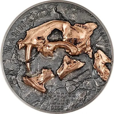 Nimravidae Evolution Of Life 500 Togrog Mongolia 2023 Silver • $189