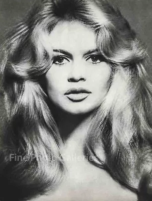 1959 BRIGITTE BARDOT  Movie Actress RICHARD AVEDON Large Duotone Photo Art 16x20 • $289.14