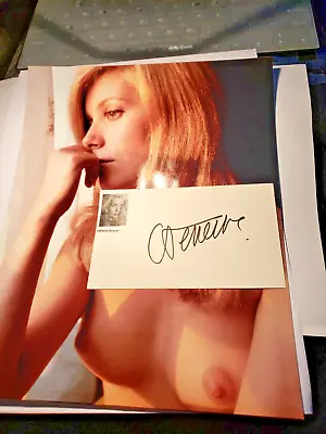 Catherine Deneuve Signed Autograph 3x5 Index Card + 8x10 Color Glossy Photograph • $44
