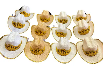 Set Of 12 Mexican Mini Palm Hats  Car  Decor Suction Cup  Sombrero  Texas • $42