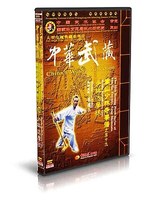 ( Out Of Print ) Songshan Shaolin Bodhidharma Cane By Gao Dejiang 2DVDs - No.059 • $33.49