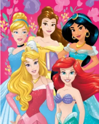 Disney Princess Silk Throw Soft Blanket 40 X50  Cinderella Belle Jasmine Aurora • $12.99
