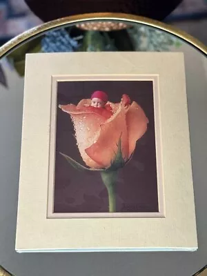 Vintage Portal Anne Geddes Rose Baby Matted Unframed Print Litho 8 X 10 Sealed • $15