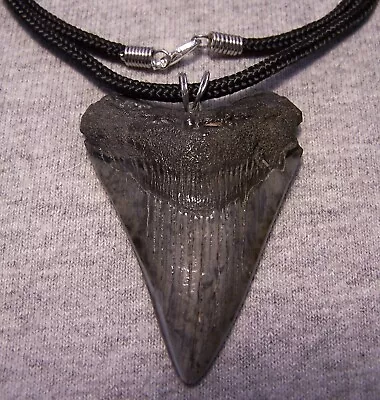 Megalodon Shark Tooth Necklace 2 1/4  Fossil Jaw Sharks Teeth Pendant MEGLADON • $49
