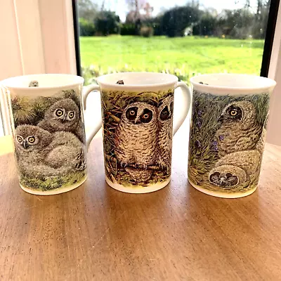 3 X DANBURY MINT The Baby Owls  Little Owls Fine Bone China Mug By Dick Twinney • £19.99