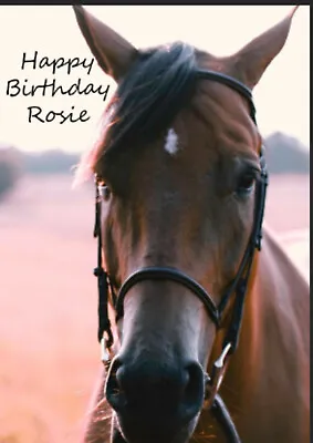 Personalised Horse Rider Card Horses Birthday Christmas Brown Black • £2.92