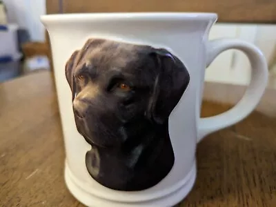 Chocolate Lab 3-D Labrador Dog White Coffee Mug Xpres Best Friends  • $12