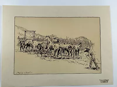 E.W. Thistlewaite Vintage Print: Roping A Mount Drawn On Range For Cutter Lab • $25