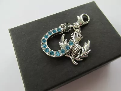 £5.50 • Buy Wedding Gift For Bride Something Blue Crystal Horseshoe & Lucky Thistle Charm