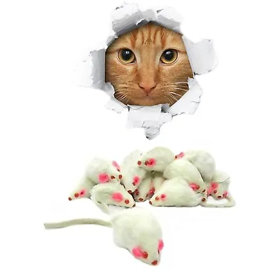 5-Pack Real Rabbit Fur White Rattle Mice Cat Toy Interactive And Entertaining • $8.99