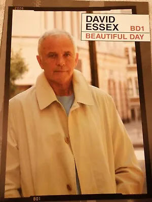 David Essex Hand Signed Beautiful Day Tour Programme (autograph) Rock On • £34.99