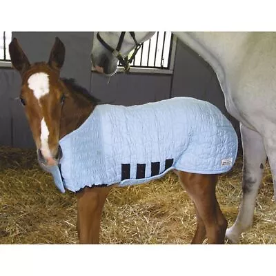 UltraFlex Lightweight Saver Foal Blanket For Horses | Various Sizes And Colors • $89.99