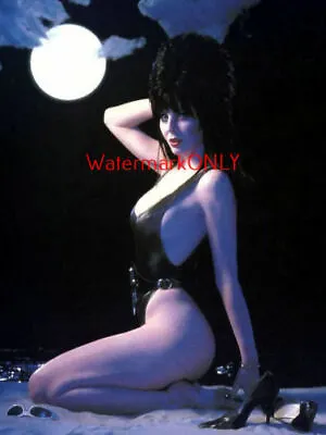 Cassandra Peterson  Elvira   Mistress Of The Dark  SEXY   Pin-Up  PHOTO! #(122) • $9.99