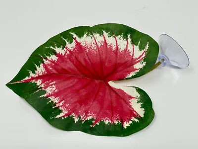 Small 4  Soft Betta Hammock!! 1-leaf Pink & Green Caladium Silk Plant W/ SUCTION • $9.90