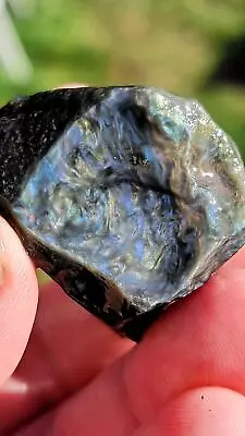 4 Pounds Random Pull RARE Mexican Velvet Obsidian Rough! Old Stock! • $151.99