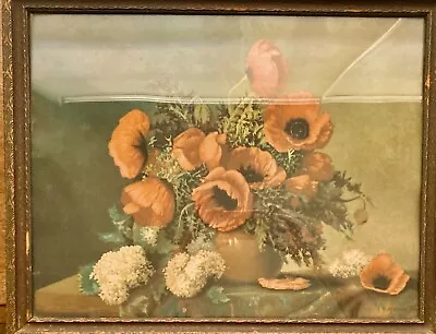 R. Atkinson Fox  Poppies  Framed Lithography Print • $95