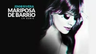 Mariposa De Barrioteleserie Mexicana 2013 19 Dvd • $26.99