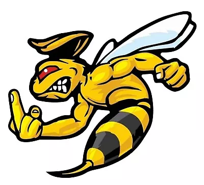ANGRY BEE SUPER BEE LEFT WITH MIDDLE FINGER REVERS BUMPER STICKER DECAL Hard • $4.99