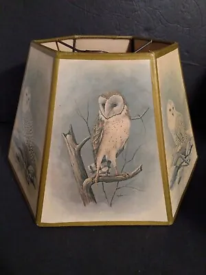 VINTAGE HEXAGON PAPER LAMPSHADE Bird Enthusiast Artist E RAMBOW OWLS Some Damage • $22