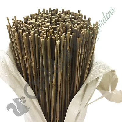 3ft Bamboo Garden Canes Stake Plant Flower Support Stick Thin 8-10mm Qty = 100 • £16.50
