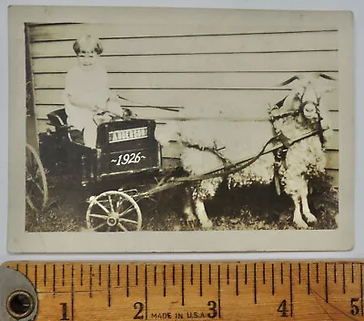 1926 Anderson Indiana Goat Cart Photograph • $9.99