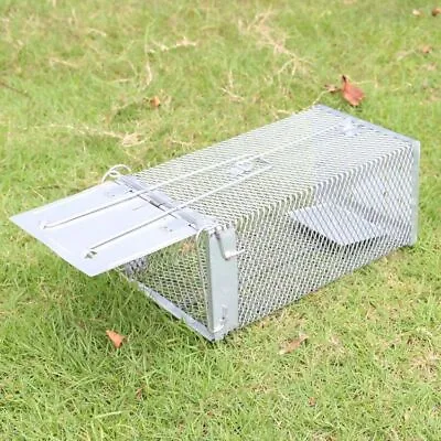 New Cage Trap Live Humane For Squirrel Chipmunk Rat Mice Rodent Animal Catcher • $36.09