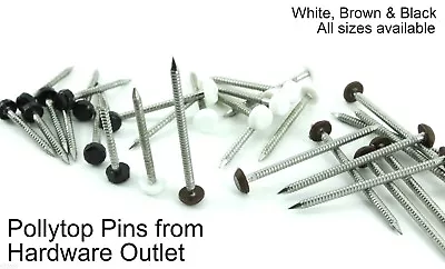 £7.46 • Buy CLEARANCE - QTY 250 Plastic Headed Poly Top Cladding Fascia Pins 30 X 2.0