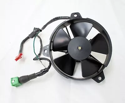 Used Honda FES125 FES150 Pantheon FES250 Foresight Radiator Cooling Fan Assembly • $6.22