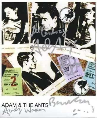 Adam & The Ants Signed 8 X 10 Photo Genuine In Person Adam Ant + 2 Hologram COA • £99.99