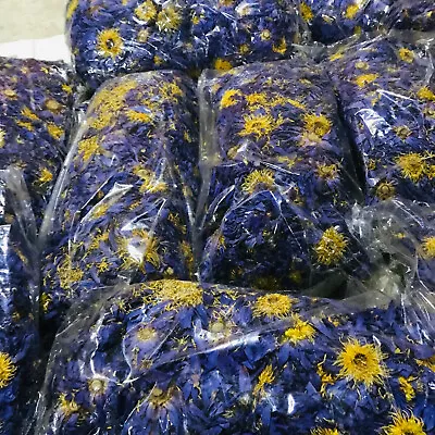 $7.99 • Buy Blue Lotus |Nymphaea Caerulea| 100% Natural Organic Ceylon Dried Herbal Flowers