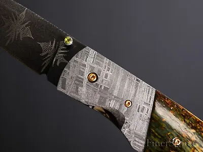 Mike Tyre (J.S.) Cholla Folder With Meteorite And Mammoth • $1695