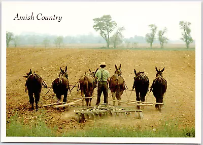 Amish Country Horse Drawn Tiller Farmer Pennsylvania Agriculture VTG Postcard • $3.86