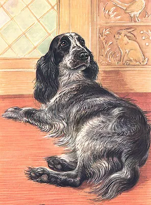 Cocker Spaniel Charming Dog Greetings Note Card Beautiful Blue Roan Dog • £2.50