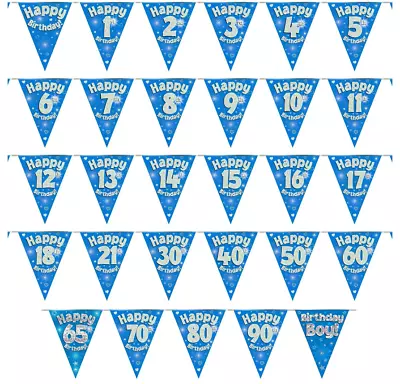 £2.49 • Buy Party Bunting Happy Birthday Banner Blue Silver Holographic 11 Flags 3.9m 12ft