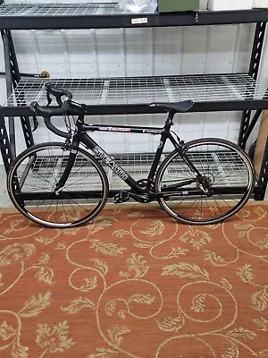 Raleigh Stealth Carbon Fiber Road Bike Bicycle 54cm Ride 2 Recovery • $1248