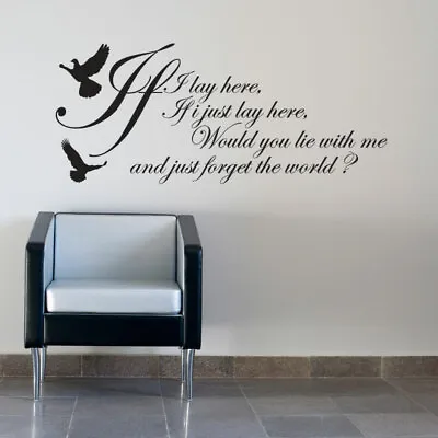 If I LAY HERE...SNOW PATROL WALL STICKER ART DECALS • £8.99