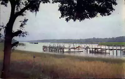 Myrtle Beach South Carolina SC Fishing Docks Vintage Postcard • $8.29