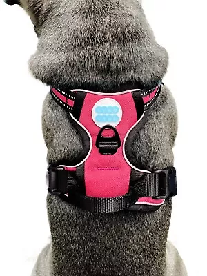 Euro Vibe Comfort Dog Harness With Adjustable Padded Vest & Reflectors • £6.99