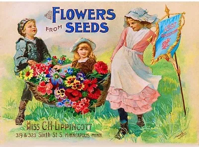 1896 Lippincott  Vintage Flowers Fruit Seed Packet Catelogue Poster Art Print  • $9.77