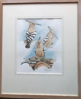£350 • Buy Keith Brockie (b.1955) Original  Watercolor Painting Of Woopoe Bird