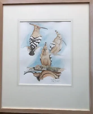 Keith Brockie (b.1955) Original  Watercolor Painting Of Woopoe Bird • £350