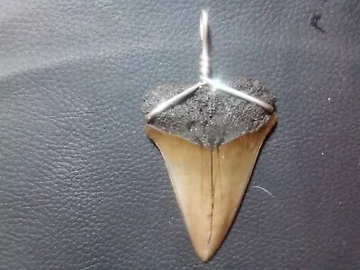 X-large 2.38 Beautiful Mako Sharks Tooth Pendant With Sterling Silver Hand Wrap • $27.99