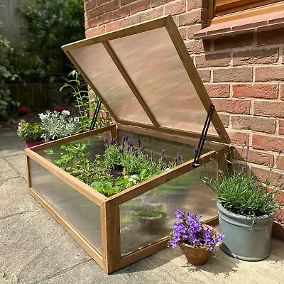 Wooden Framed Polycarbonate Cold Frame Mini Greenhouse (100cm X 65cm X 40cm) • £49.99